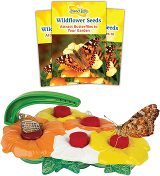 Insect Lore Deluxe Butterfly Feeder with Wildflower Seeds