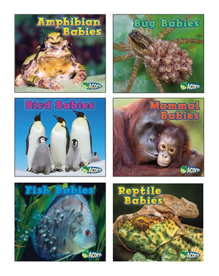 Animal Babies Book Set