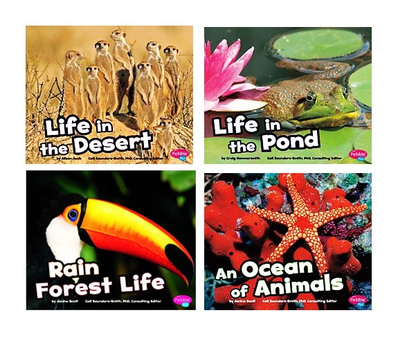 Animal visual data 4