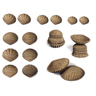 Eco-Friendly Tactile Shells