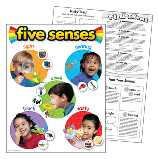 Five Senses Learning Chart