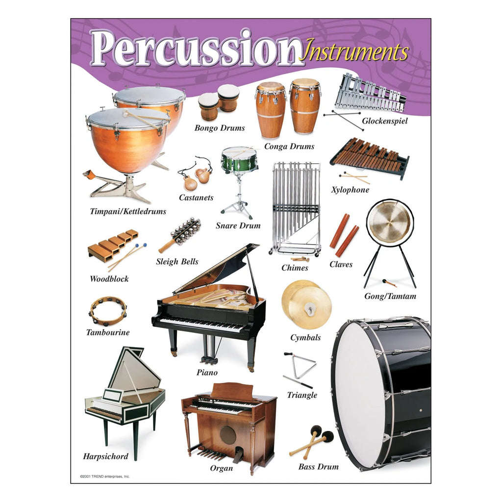 Percussion Instruments Chart | Instruments Poster for Classroom – CM ...