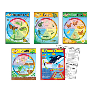 Life Cycles Learning Charts Combo Pack