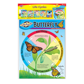 Life Cycles Learning Charts Combo Pack