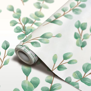 Eucalyptus Peel and Stick Decorative Paper