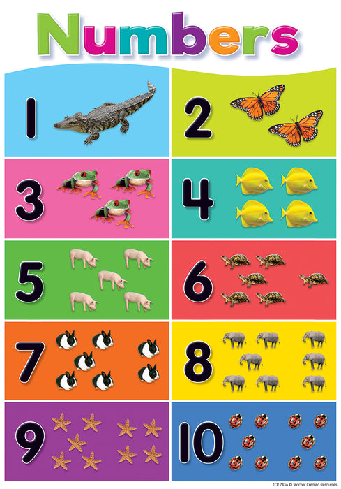Colorful　Pack　Small　Early　Learning　Poster