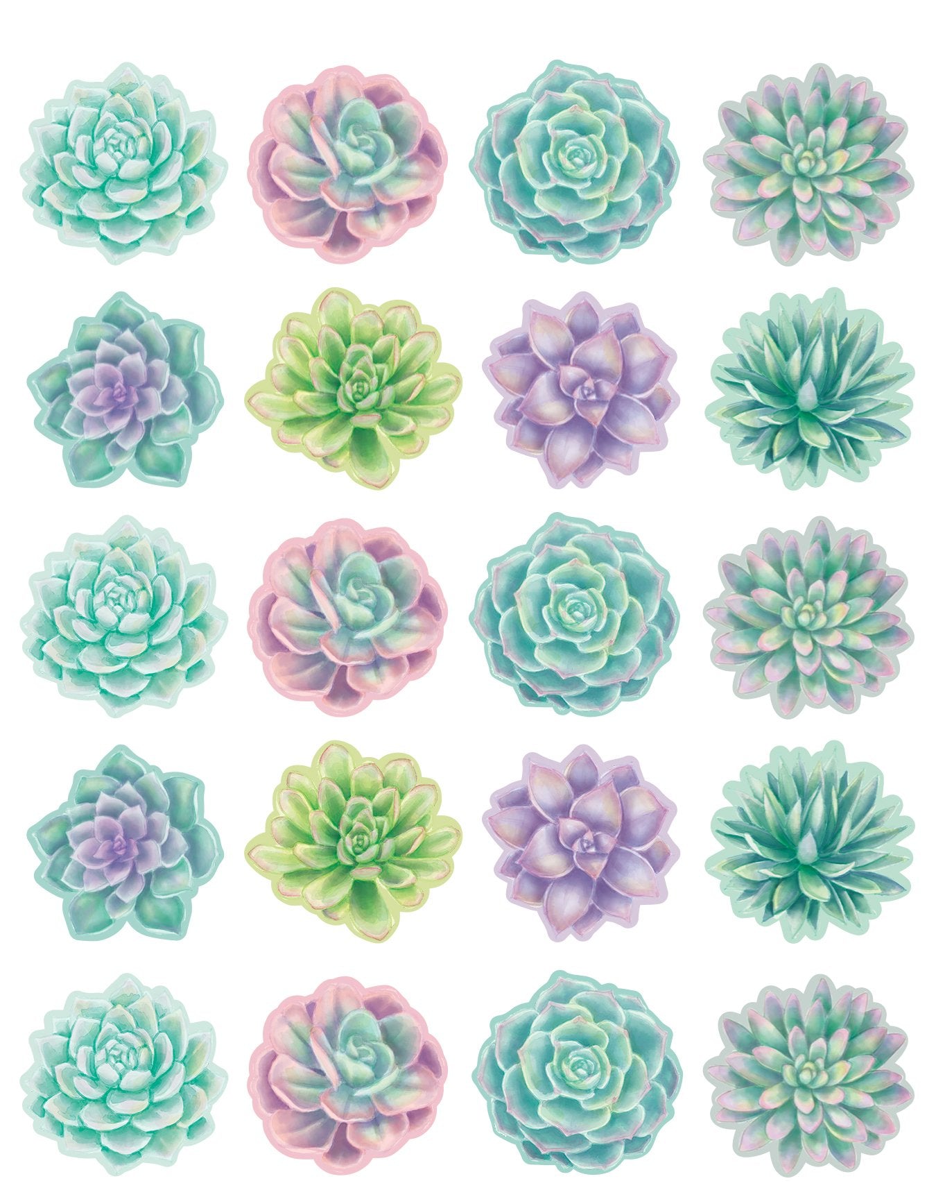 succulent stickers Rustic Bloom Succulents Stickers